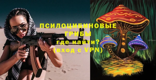 метадон Горнозаводск