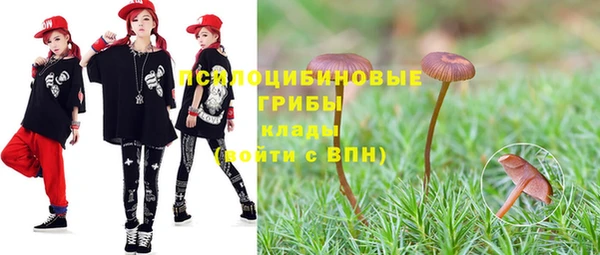 эйфоретик Горняк