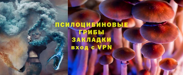 метадон Горнозаводск